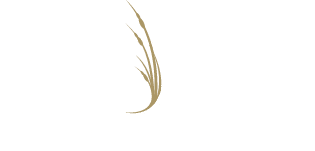 ICONA Resorts logo