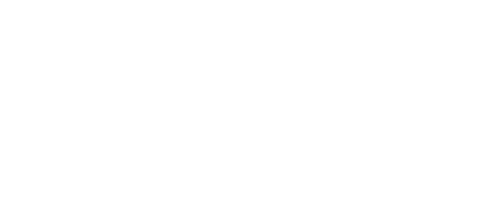 ICONA Avalon logo