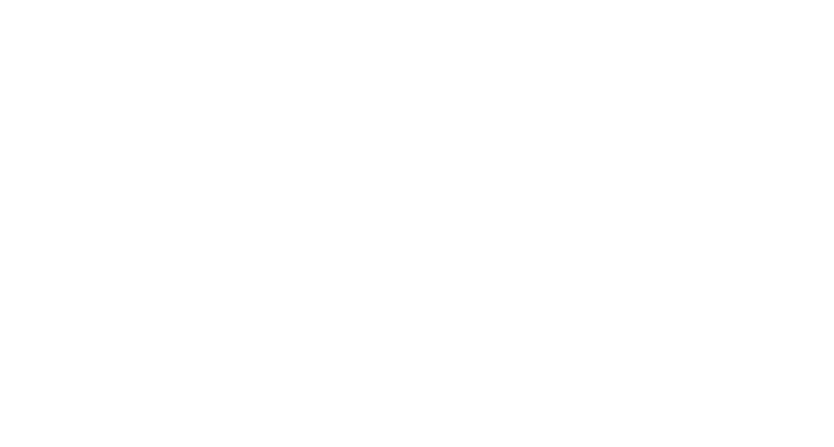 ICONA Windrift logo