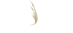 ICONA Resorts logo