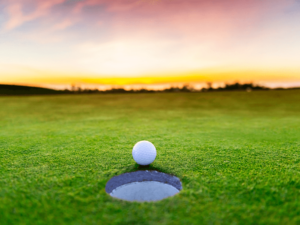 Golf ball on an Avalon golf course