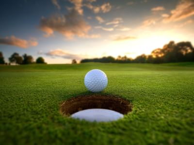 Golf ball near hole on golf course