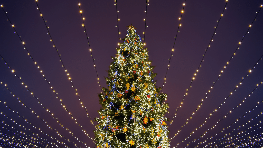 Christmas tree in Cape May