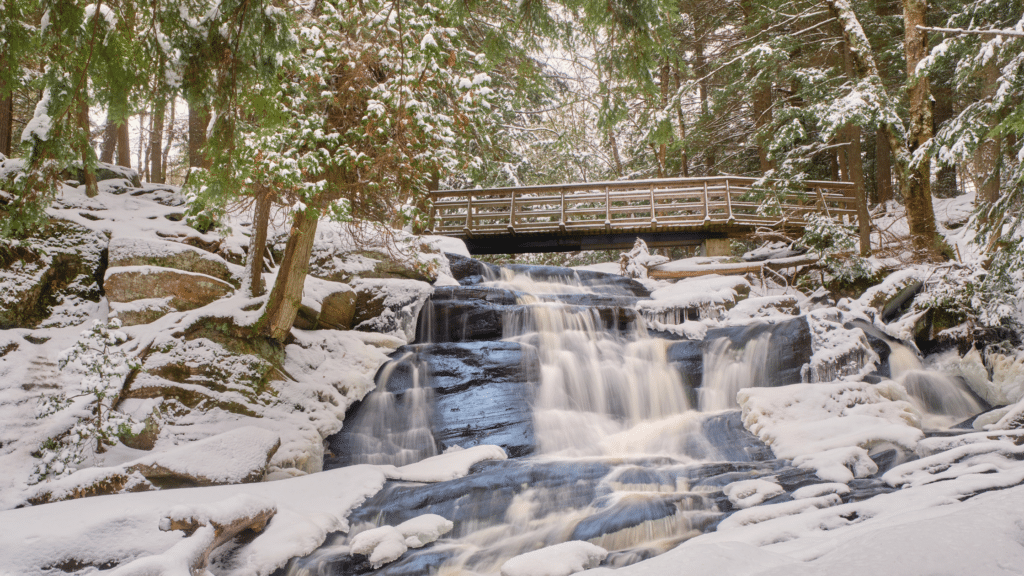 Catskills